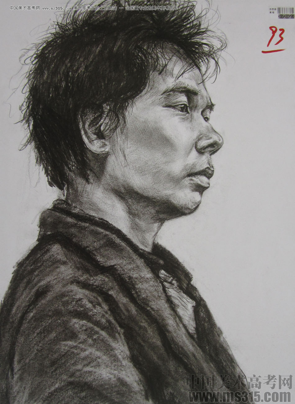 2013年四川美术学院造型素描优秀试卷（34）