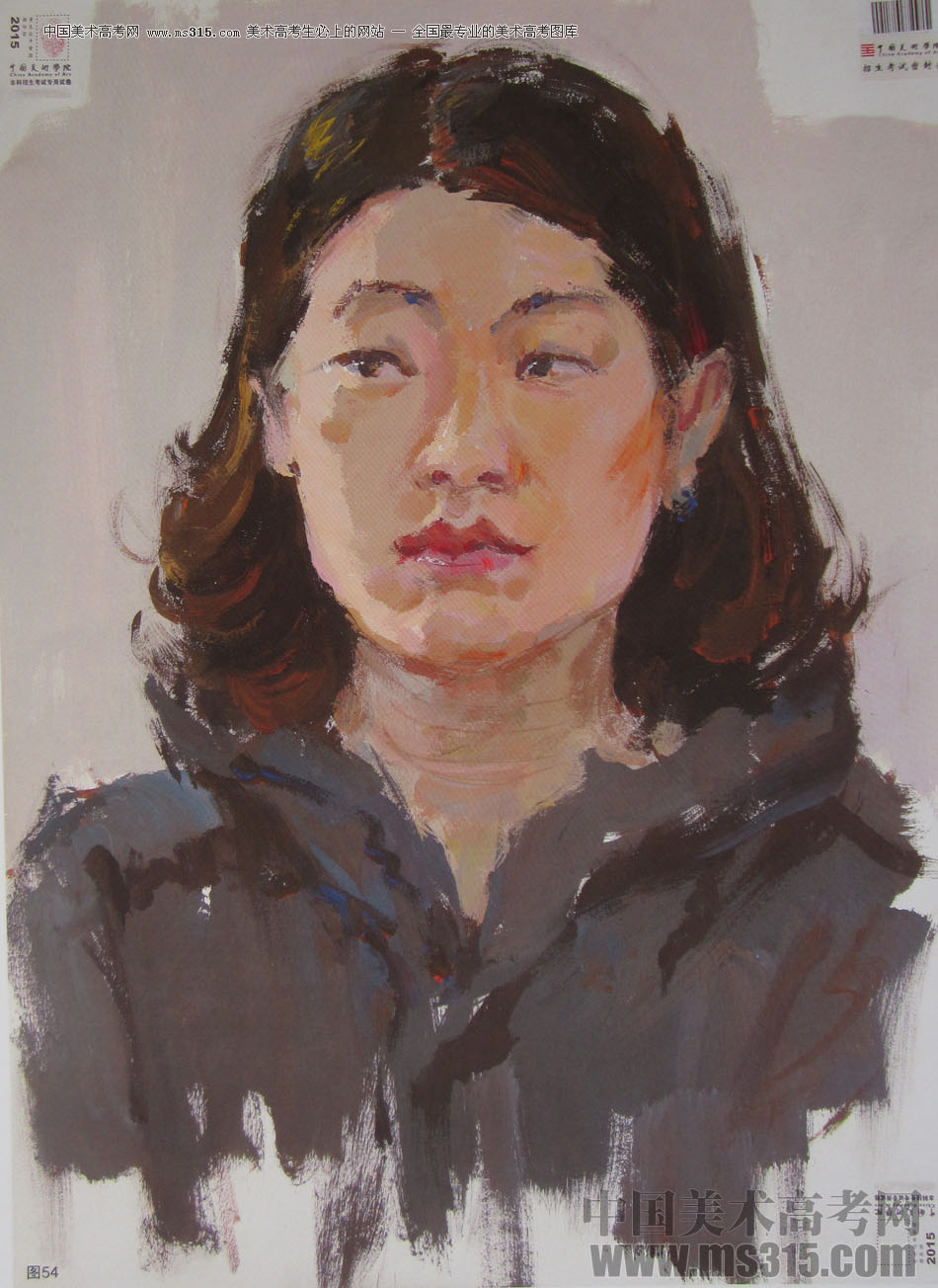 2015年中国美术学院色彩高分卷46