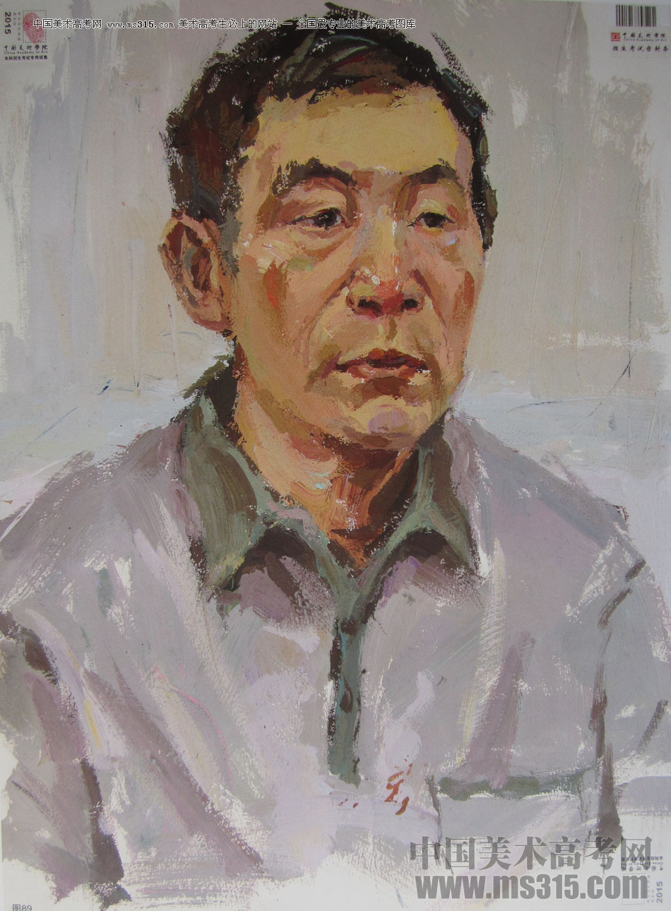2015年中国美术学院色彩高分卷69