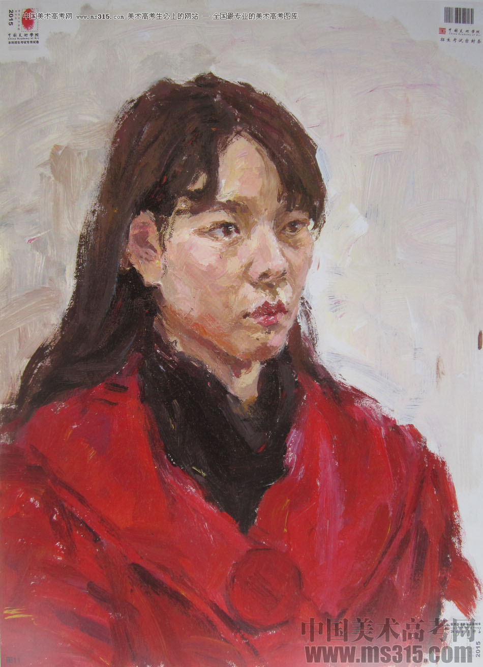 2015年中国美术学院色彩高分卷11