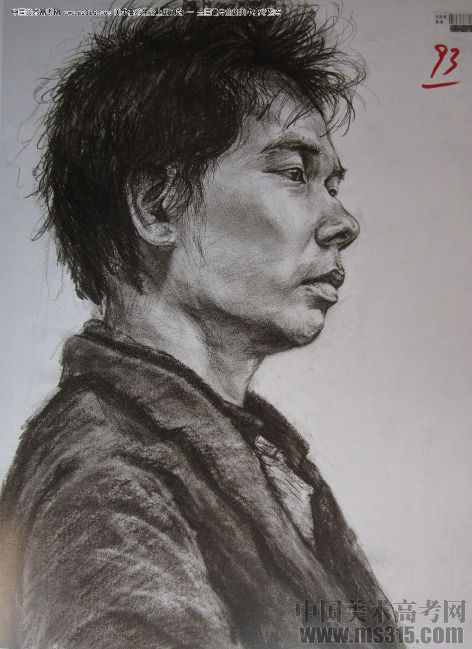 2015年四川美术学院造型素描头像高分卷14