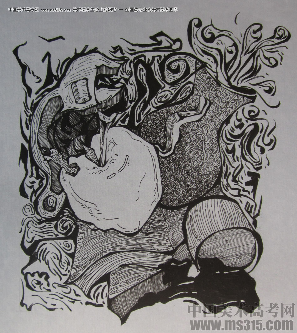 2015年四川美术学院设计基础（黑白装饰画）高分卷60