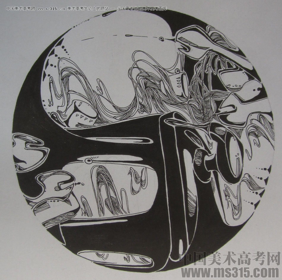 2015年四川美术学院设计基础（黑白装饰画）高分卷68