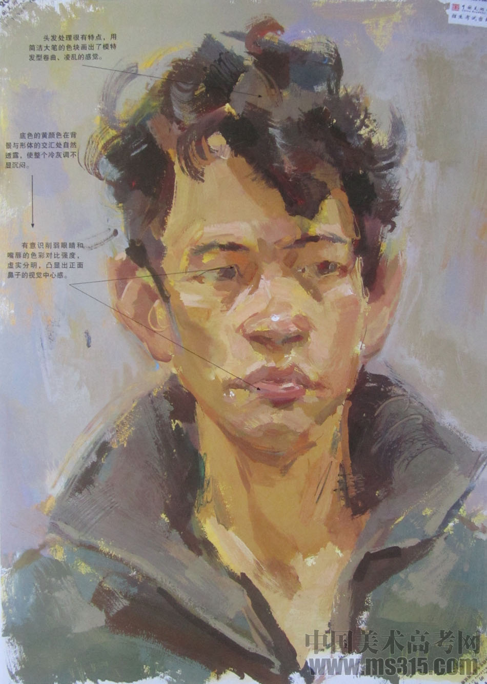 2014年中国美术学院建筑与设计类色彩优秀试卷14