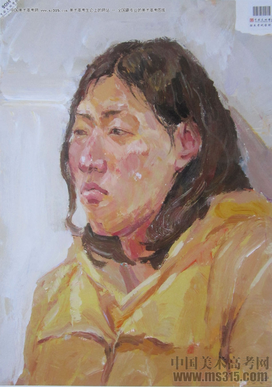 2014年中国美术学院建筑与设计类色彩优秀试卷47