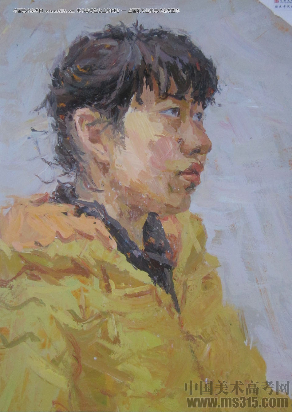 2014年中国美术学院造型图媒类色彩优秀试卷25