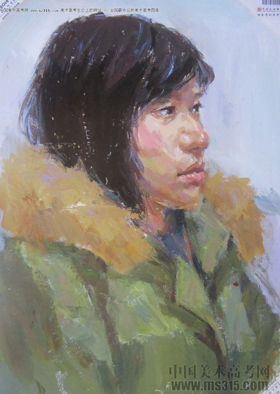 2014年中国美术学院造型图媒类色彩优秀试卷41