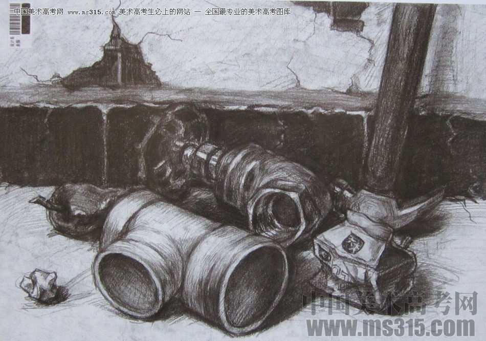 2014年四川美术学院设计类素描优秀试卷22