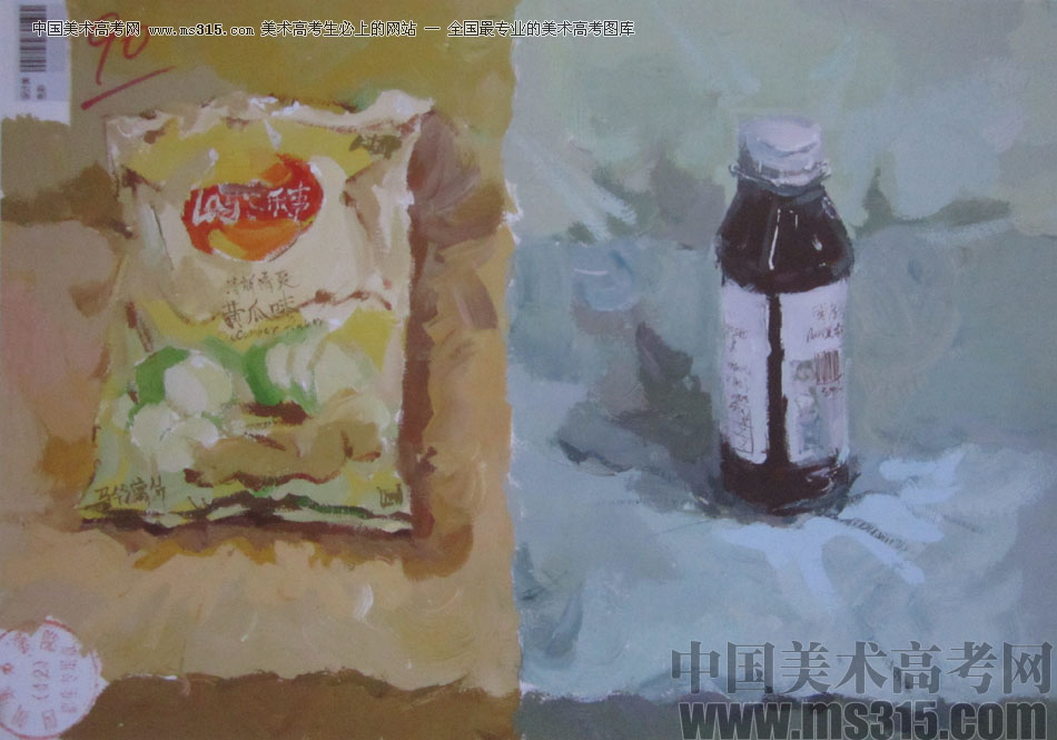 2016年四川美术学院设计色彩高分试卷16