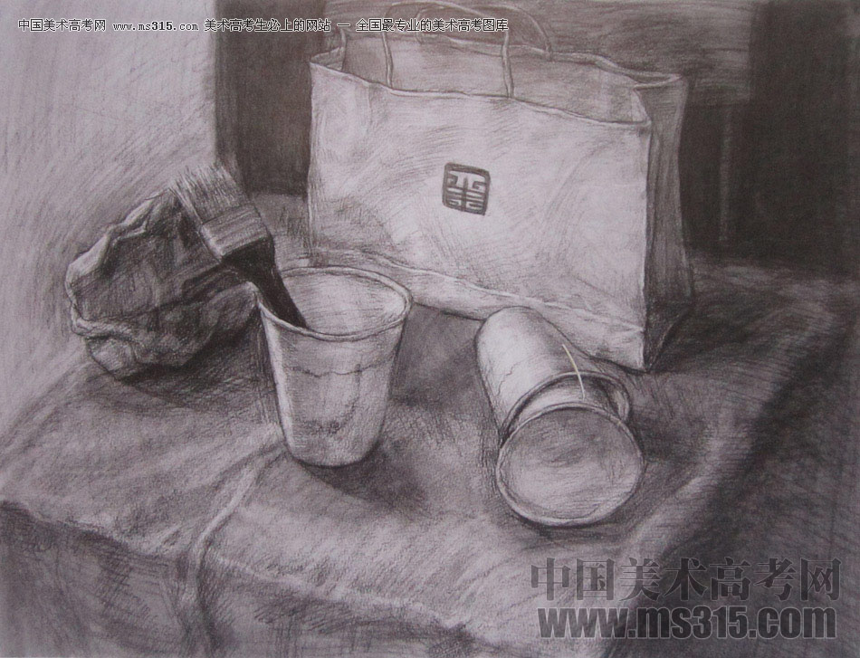 2016年西安美术学院素描优秀试卷4