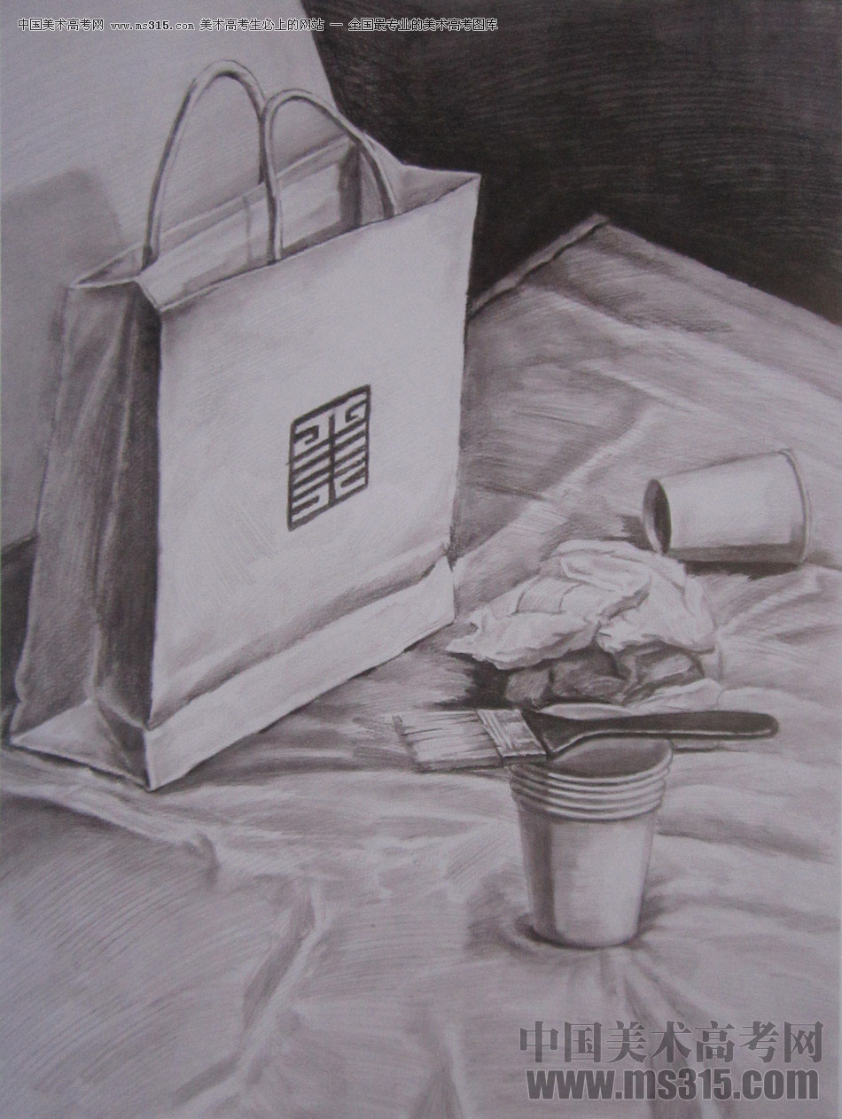 2016年西安美术学院素描优秀试卷14