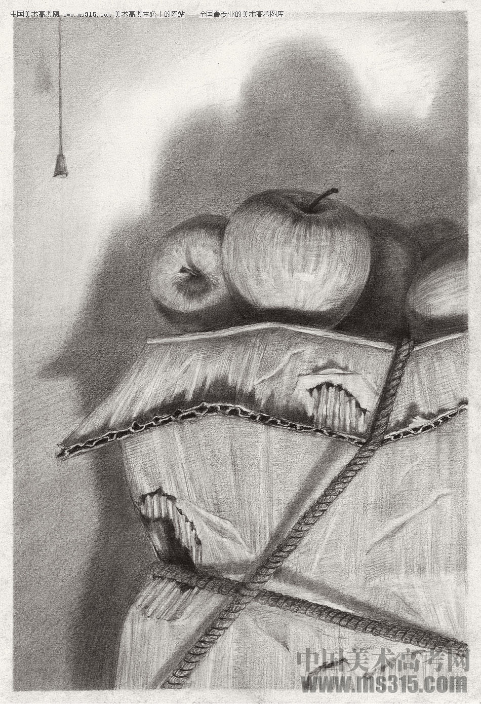 北京博艺画室清华素描展示1