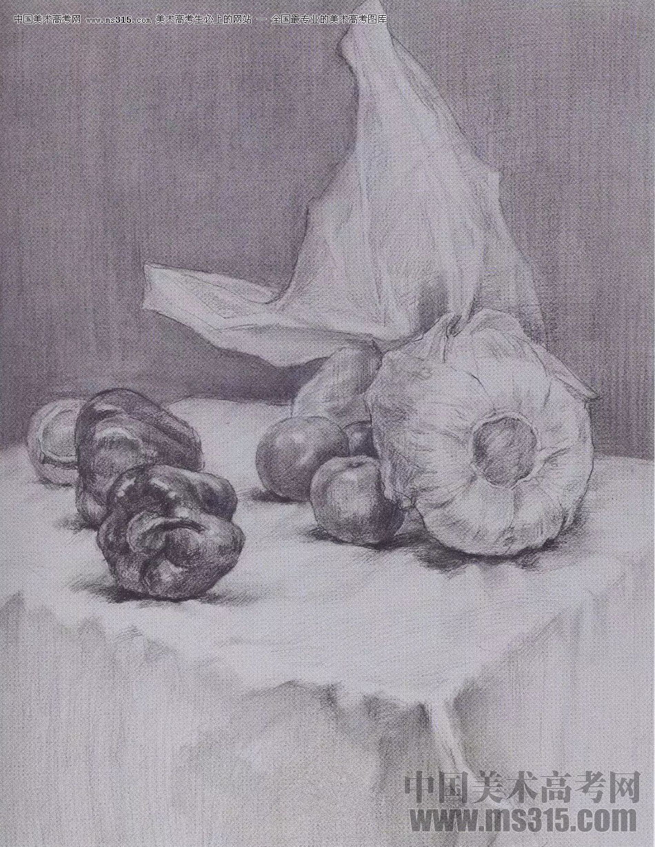 2017年西安美术学院素描高分试卷5