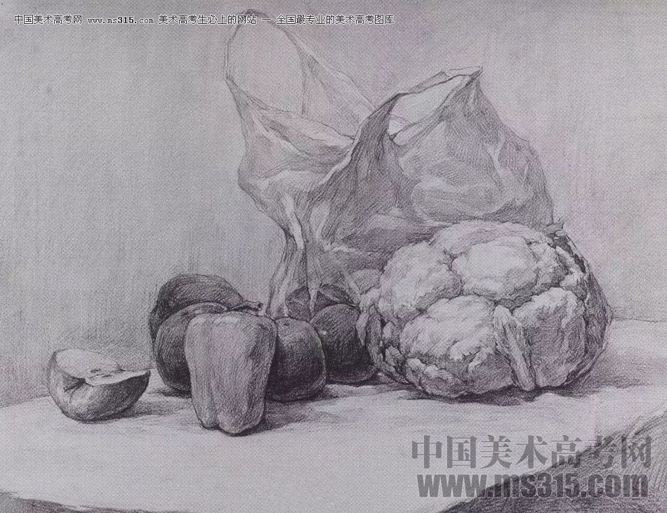2017年西安美术学院素描高分试卷8