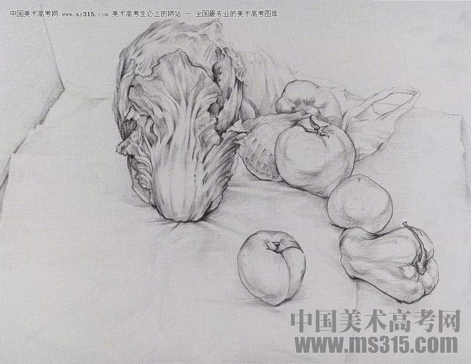2017年西安美术学院素描高分试卷10