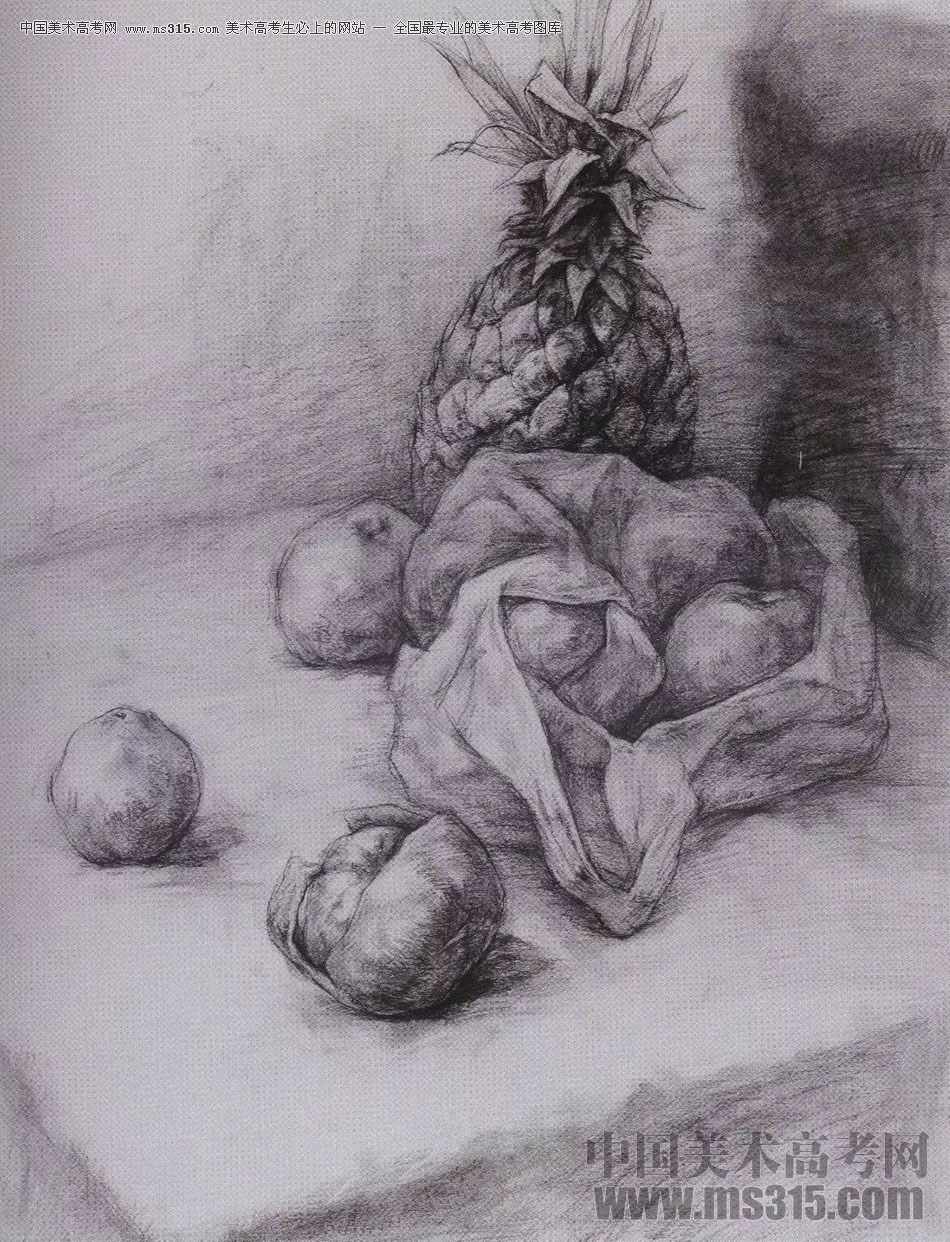 2017年西安美术学院素描高分试卷13