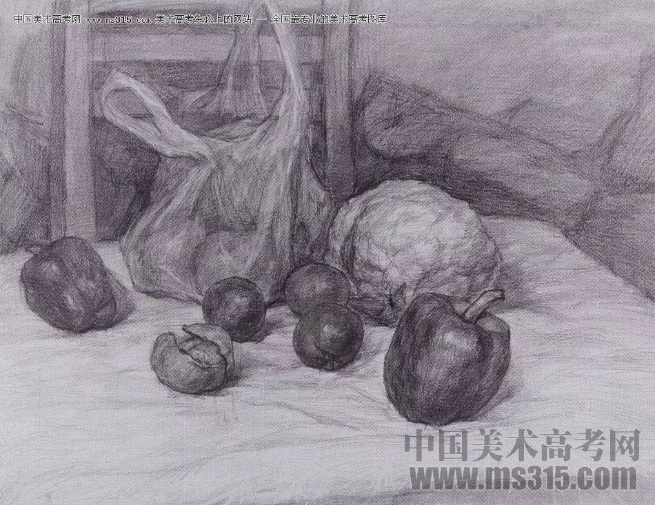2017年西安美术学院素描高分试卷14