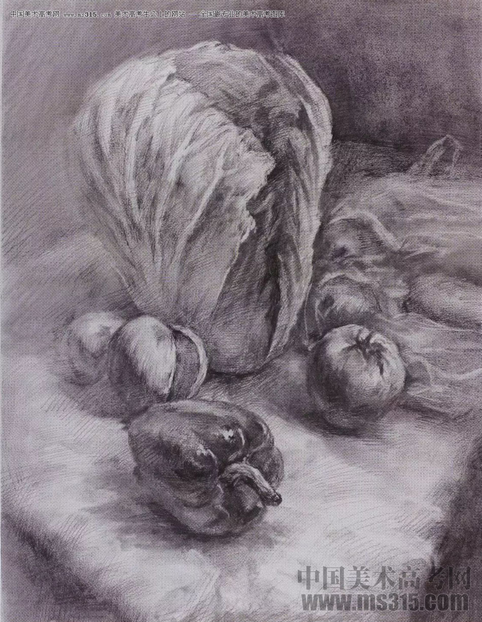 2017年西安美术学院素描高分试卷16