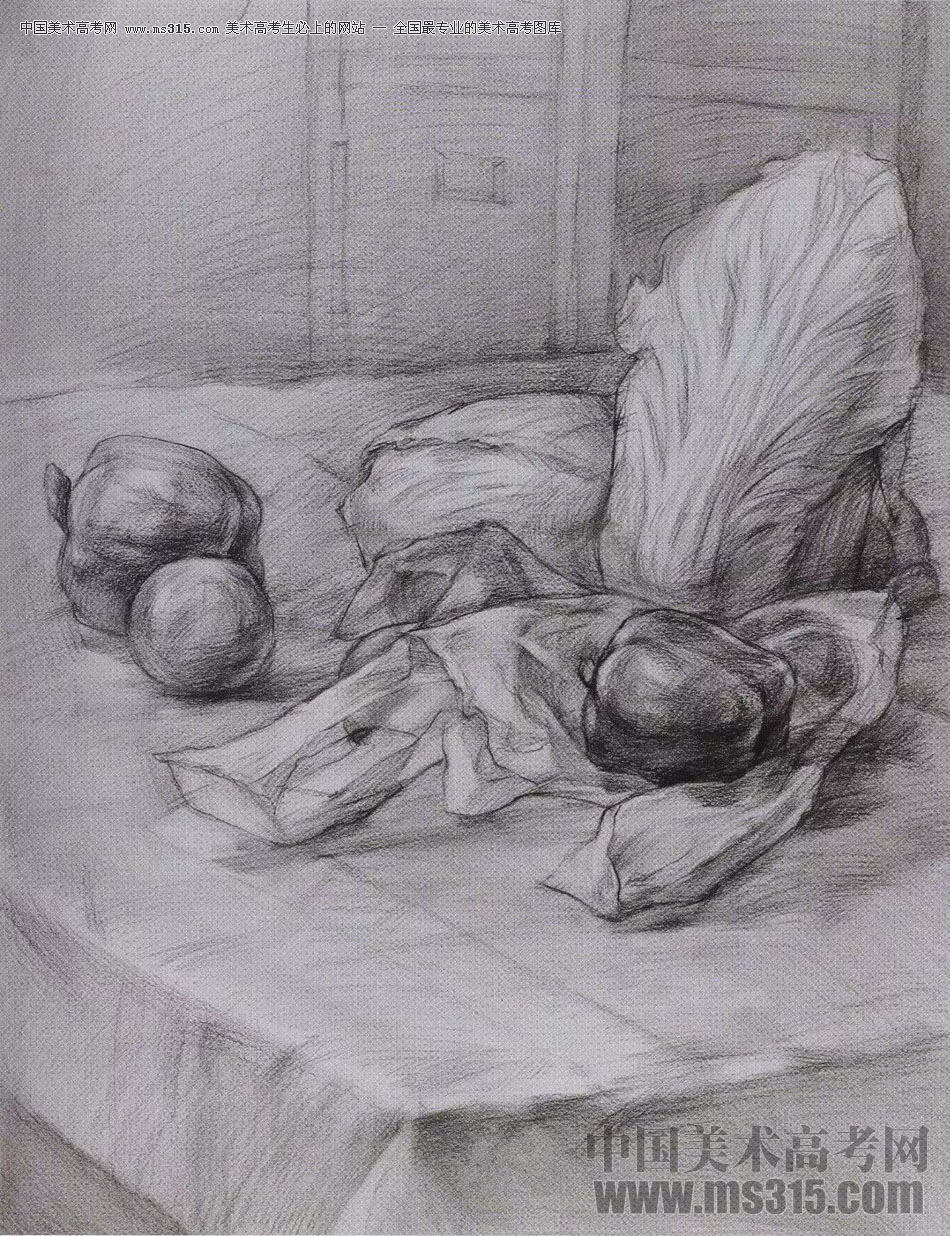 2017年西安美术学院素描高分试卷15