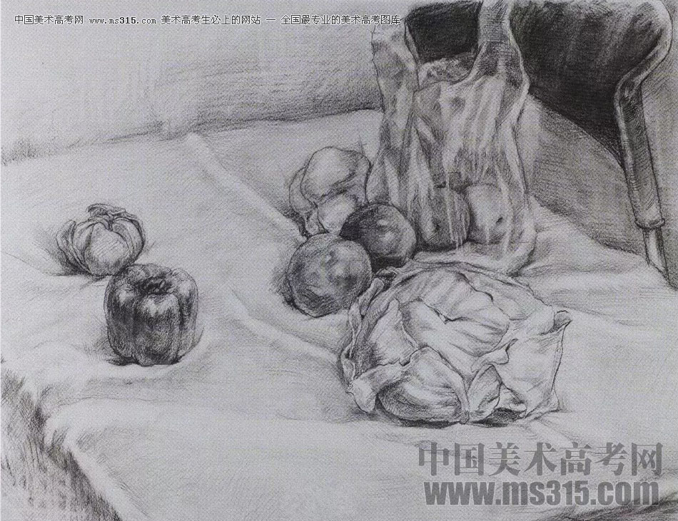2017年西安美术学院素描高分试卷19