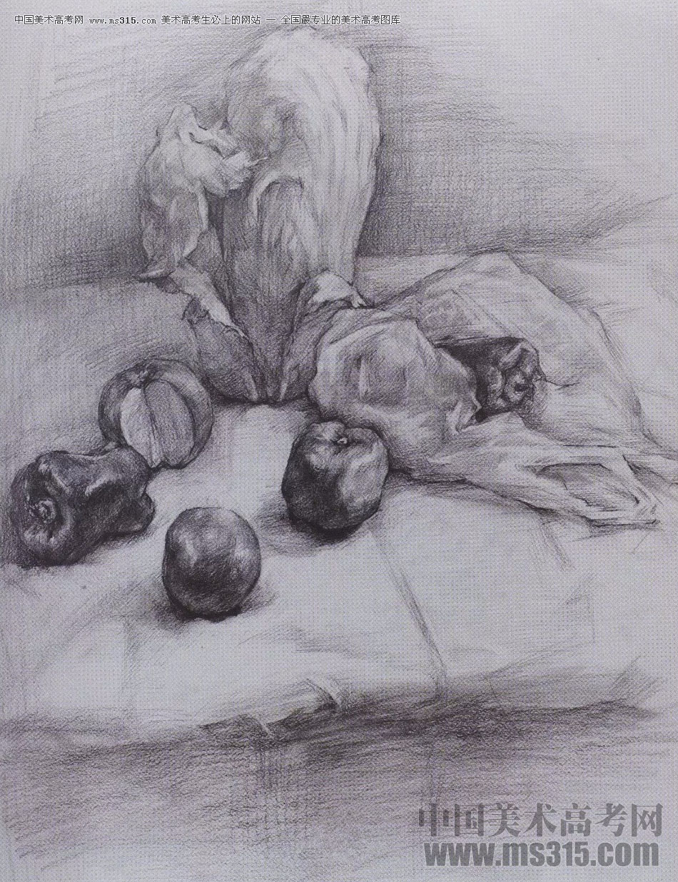 2017年西安美术学院素描高分试卷22