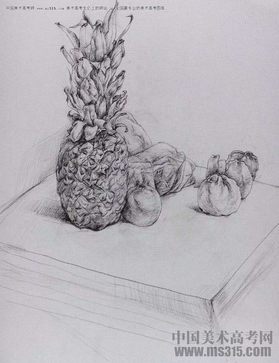2017年西安美术学院素描高分试卷24
