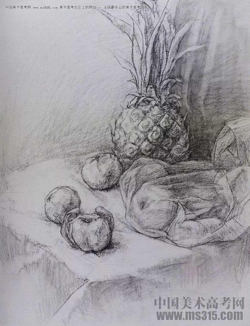 2017年西安美术学院素描高分试卷25