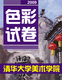 2009年清华大学美术学院色彩高分试卷