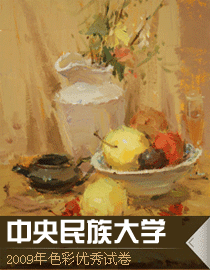 2009年中央民族大学色彩优秀试卷