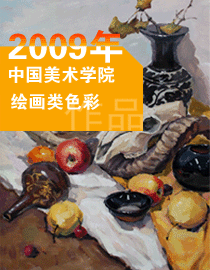 2009年中国美术学院绘画类色彩优秀试卷