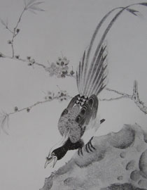 2009年中国美术学院中国画优秀试卷28（花鸟）