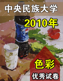 2010年中央民族大学色彩优秀试卷