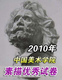 2010年中国美术学院素描优秀试卷