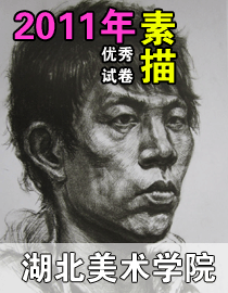 2011年湖北美术学院素描优秀试卷