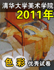 2011年清华大学美术学院色彩高分试卷