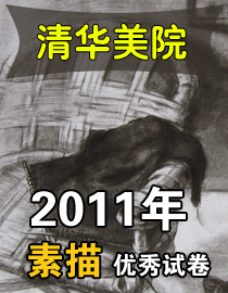 2011年清华大学美术学院素描高分试卷