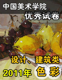 2011年中国美术学院设计、建筑类色彩优秀试卷