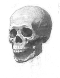 北京华艺名画室素描投稿作品9（学生）