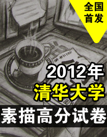 2012年清华大学美术学院素描高分试卷