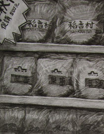 2012年清华大学美术学院素描高分试卷15（设计）