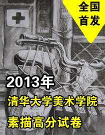 2013年清华大学美术学院素描高分试卷