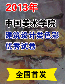 2013年中国美术学院设计、建筑类色彩优秀试卷