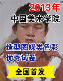 2013年中国美术学院造型、图媒类色彩优秀试卷