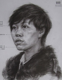 2013年中国美术学院素描优秀试卷24