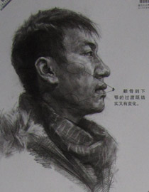 2013年中国美术学院素描优秀试卷26