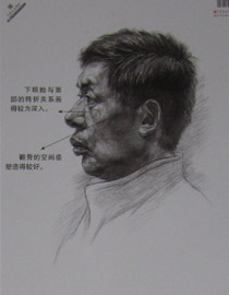 2013年中国美术学院素描优秀试卷36