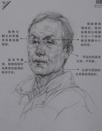 2013年中国美术学院素描优秀试卷39