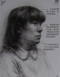 2013年中国美术学院素描优秀试卷40