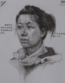 2013年中国美术学院素描优秀试卷47
