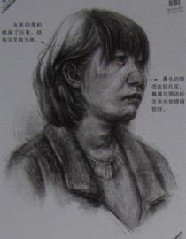2013年中国美术学院素描优秀试卷50